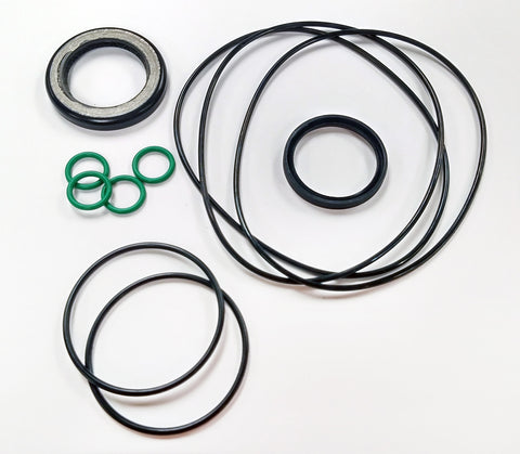 BMRS Motor Seal Kit