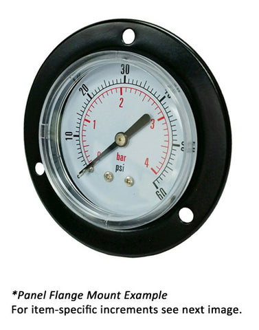 2.5" Dry Gauge - Center bank w/ Flange (0 - 3000 psi) - CDS-1P-210E