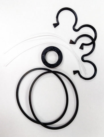 GP-F25 Pump Seal Kit - "P" (7/8") Shaft - Buna Seals - GP-F25-P-SK-BN