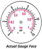 2.5" Dry Gauge - Center Back w/ Clamp (0 - 15 psi) - CDS-1P-001B