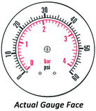 2.5" Dry Gauge - Center Back (0 - 60 psi) - CDS-1P-004D