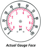2.5" Dry Gauge - Bottom Mount (0 - 100 psi) - CDS-1P-007A