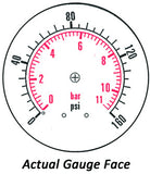 2.5" Gauge - Center Back (0 - 160 psi) - Liquid-filled - CF1P-010D