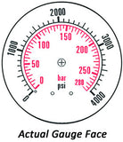 2.5" Dry Gauge - Bottom Mount (0 - 4000 psi) - CDS-1P-280A